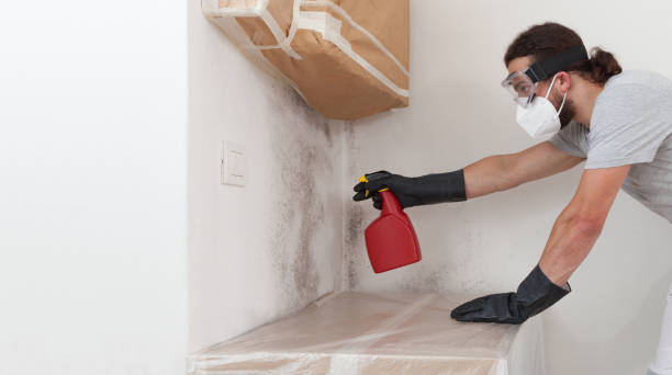 Professional Bathroom Mold Removal technician working in Gates, NC